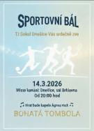 Sokolský bál - hraje Agnes rock 2